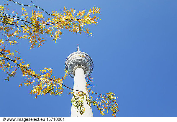Germany  Berlin  Low angle view of Berlin TV Tower standing against clear blue sky