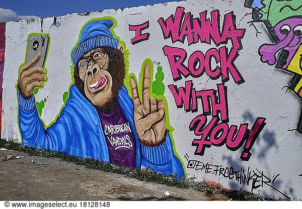 Germany  Berlin  05. 062021  Mauerpark  graffiti wall  artwork by Jamaican graffiti artist Eme Freethinker  monkey  selfie  I Wanna Rock With You!  Europe