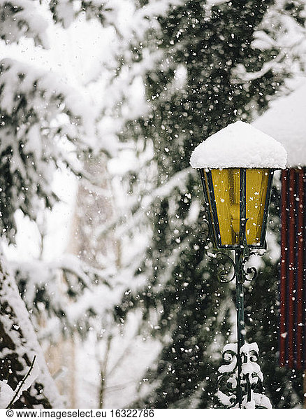 Germany  Black Forest  lantern in winter