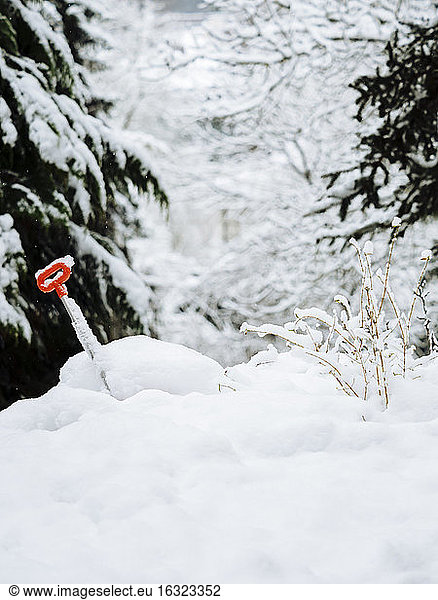 Germany  Black forest  shovel in snow