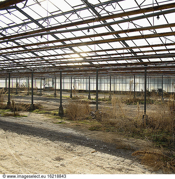 Germany  Borschemich  Greenhouse out of function