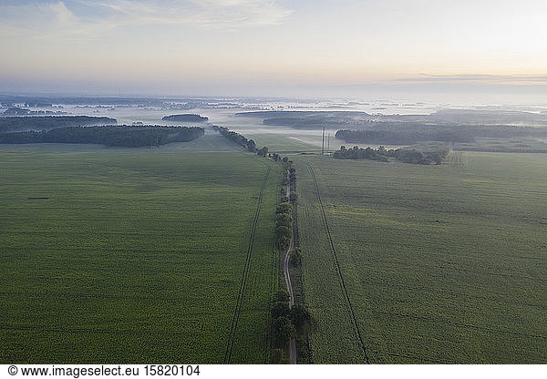 Germany  Brandenburg  Drone view of country road and green fields at foggy dawn