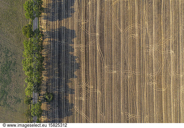 Germany  Brandenburg  Drone view of treelined country road and brown field