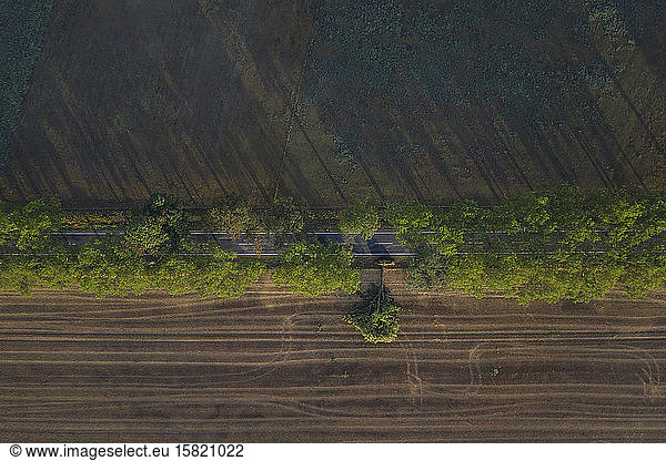 Germany  Brandenburg  Drone view of treelined country road cutting through agricultural field