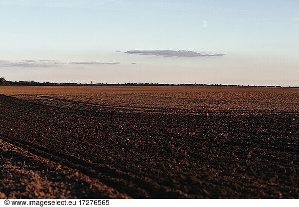 Germany  Brandenburg  Linum  Brown plowed field at dusk