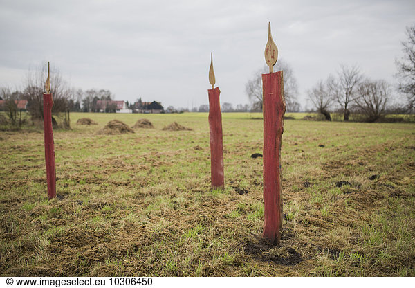 Germany  Brandenburg  oversized wooden Advent candles standing on a meadow