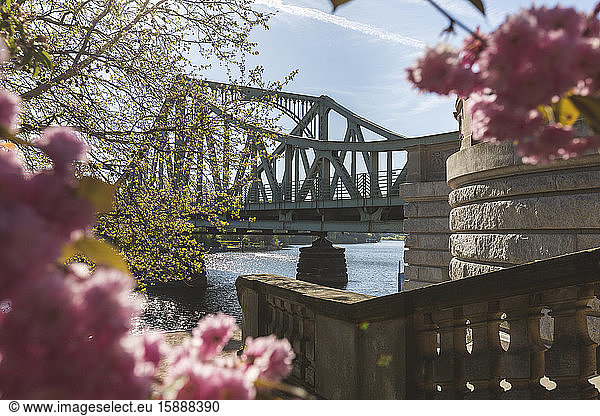 Germany  Brandenburg  Potsdam  Glienicke Bridge in spring