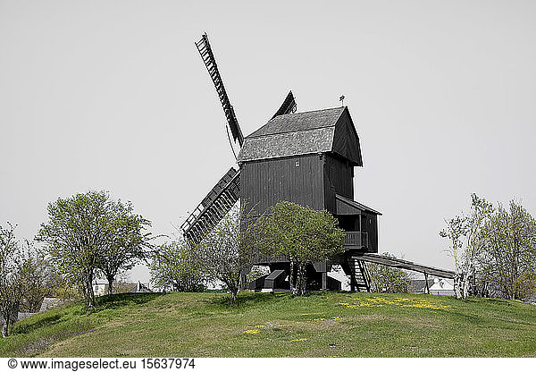 Germany  Brandenburg  Werder  scenic landscape with windmill