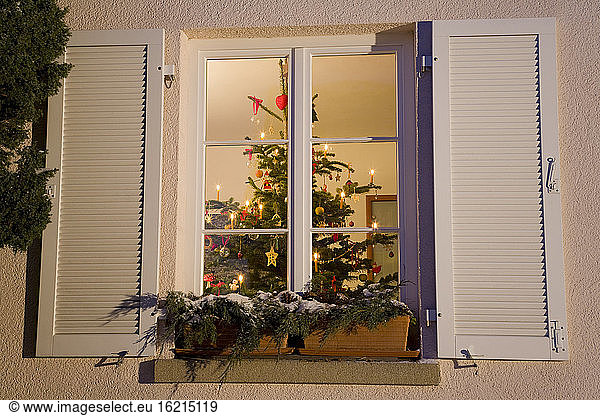 Germany  Christmas tree in house  view through window