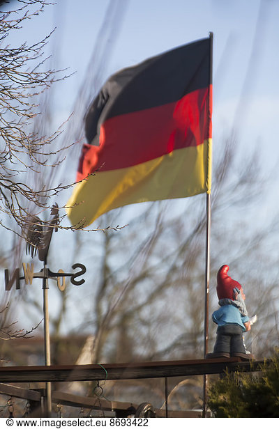 Germany  Cologne  allotment  flag and garden gnome