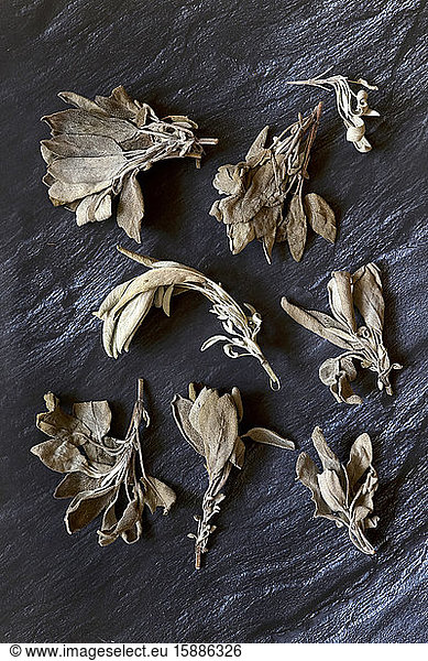 Germany  Dried sage leaves on stone surface