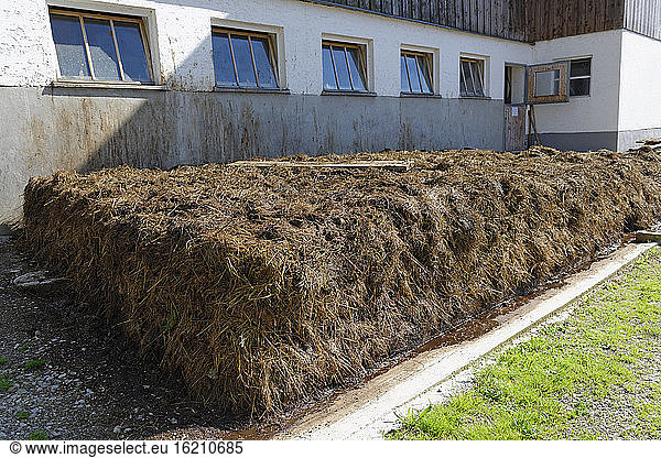 Germany  Dung pile