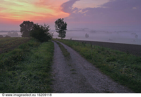 Germany  Field path at dawn