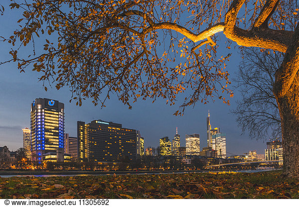 Germany  Frankfurt  view to skyline in autumn