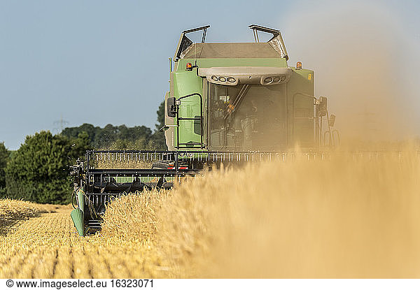 Germany  Grevenbroich  combine harvester on field