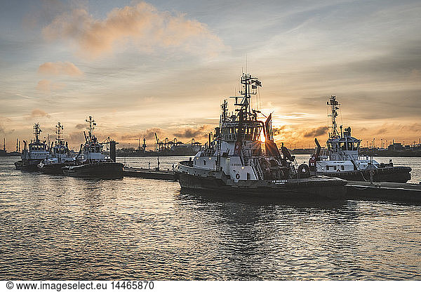 Germany  Hamburg  Altona  Neumuehlen  towboats in harbor at sunrise