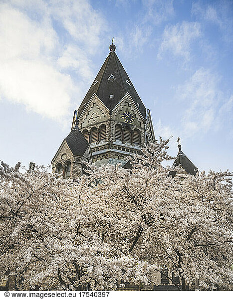 Germany  Hamburg  Bell tower of Church of Saint John of Kronstadt with blooming cherry blossoms in foreground