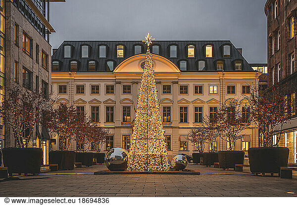 Germany  Hamburg  Christmas tree glowing on Alsterfleet square at dusk