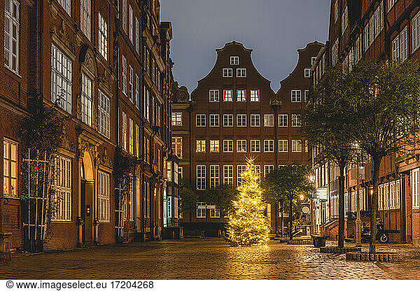 Germany  Hamburg  Christmas Tree on Peterstrasse in Composers Quarter