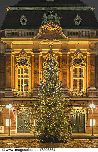 Germany  Hamburg  Christmas Tree on Peterstrasse in Composers Quarter
