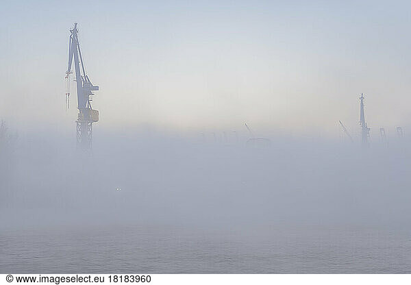 Germany  Hamburg  Harbor cranes shrouded in thick fog