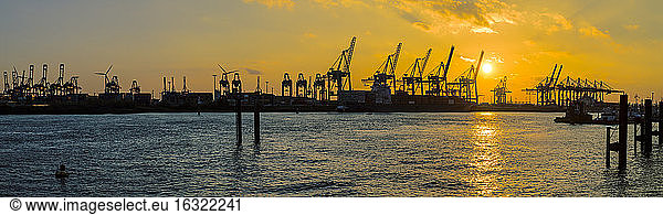 Germany  Hamburg  harbour cranes at Elbe river at sunset  Panorama