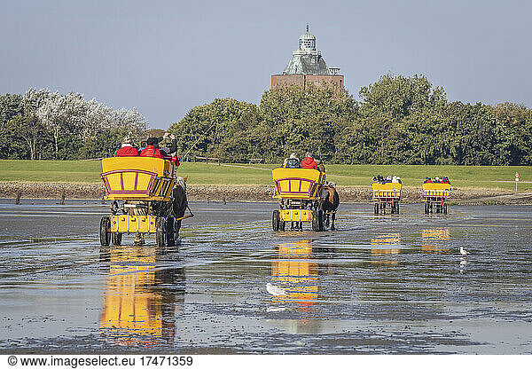 Germany  Hamburg  Horse carriages crossing mud flat at Neuwerk island