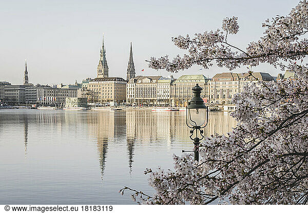Germany  Hamburg  Inner Alster Lake in spring with street light and cherry blossom branches in foreground
