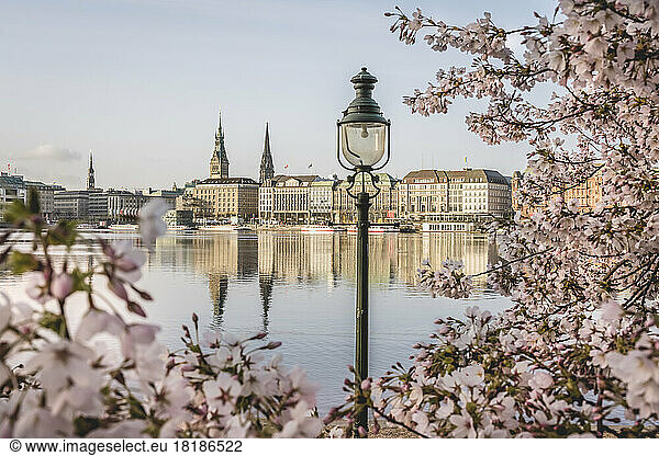 Germany  Hamburg  Inner Alster Lake in spring with street light and cherry blossom branches in foreground