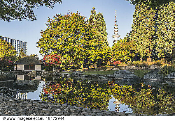 Germany  Hamburg  Japanese garden in Planten un Blomen park with Heinrich Hertz Tower visible in background