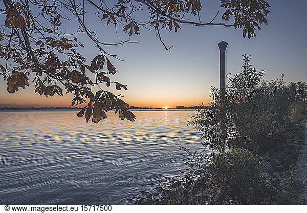 Germany  Hamburg  lighthouse standing on bank of river Elbe at sunset