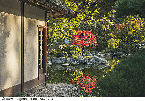 Germany  Hamburg  Pond and Japanese teahouse in Planten un Blomen park
