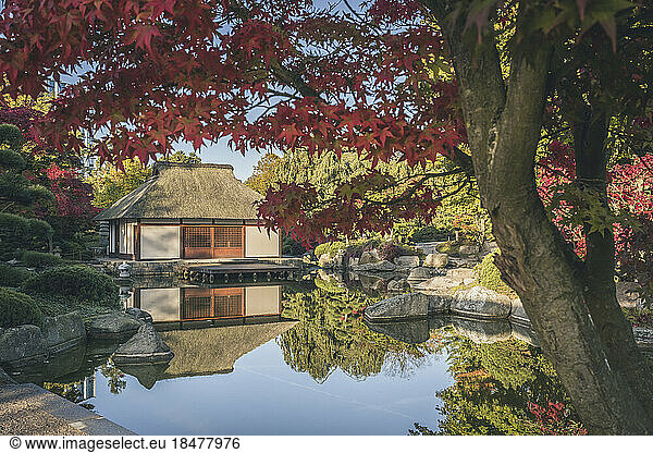 Germany  Hamburg  Pond and Japanese teahouse in Planten un Blomen park
