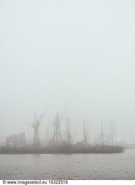 Germany  Hamburg  Port of Hamburg  Harbour cranes and fog