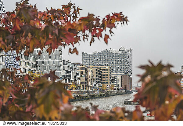Germany  Hamburg  Sandtorhafen in autumn with Elbphilharmonie in background