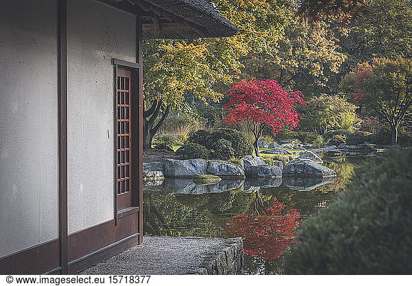 Germany  Hamburg  Shiny pond and edge of Japanese teahouse in Planten un Blomen park