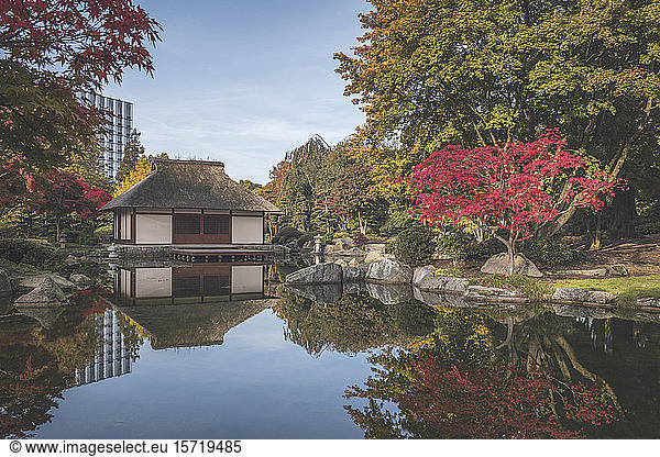 Germany  Hamburg  Shiny pond and Japanese teahouse in Planten un Blomen park