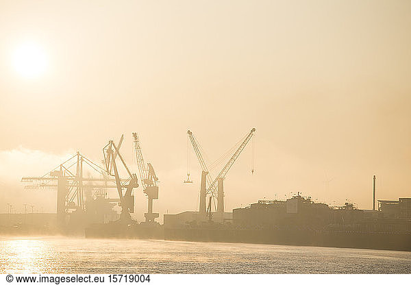 Germany  Hamburg  Silhouettes of harbor cranes at sunrise