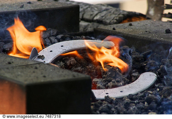Germany  Hesse  Blacksmith fire with horseshoe