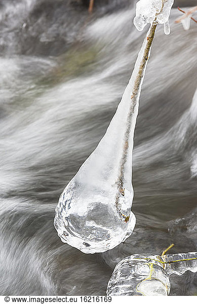 Germany  Hesse  Ice on stick in river