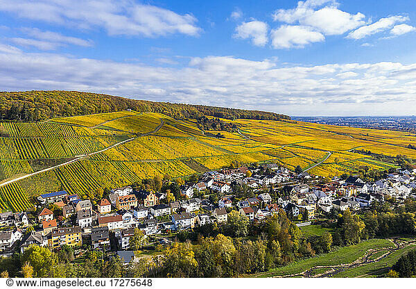Germany  Hesse  Martinsthal  Helicopter view of rural town in autumn with vineyards in background