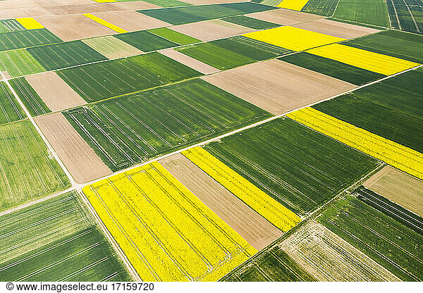 Germany  Hesse  Munzenberg  Helicopter view of green and yellow countryside fields in summer