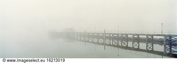 Germany  Lake Constance  Hagnau  foggy landing stage