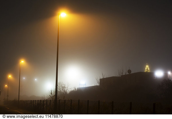 Germany  lighted Christmas tree in fog at commercial area