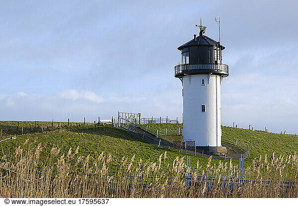 Germany  Lower Saxony  Cuxhaven  Dicke Berta lighthouse with reeds in foreground