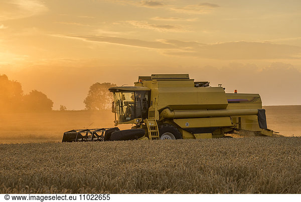 Germany  Lower Saxony  Wolfenbuettel  combine harvester at sunset