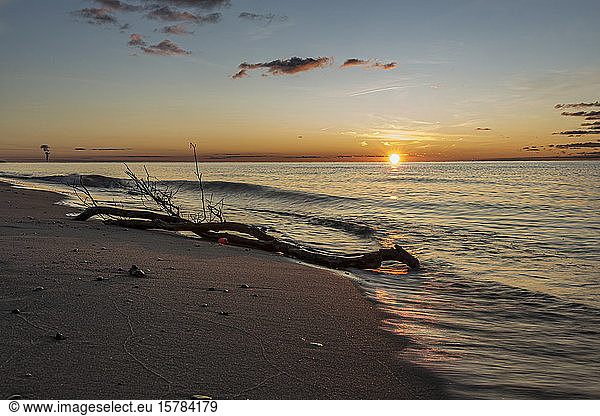 Germany  Mecklenburg-West Pomerania  Prerow  Driftwood lying on sandy coastal beach at sunset