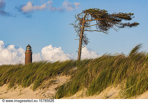 Germany  Mecklenburg-Western Pomerania  Prerow  Grassy beach with Darsser Ort lighthouse in background