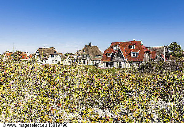 Germany  Mecklenburg-Western Pomerania  Vitte  Coastal flora with summer houses in background
