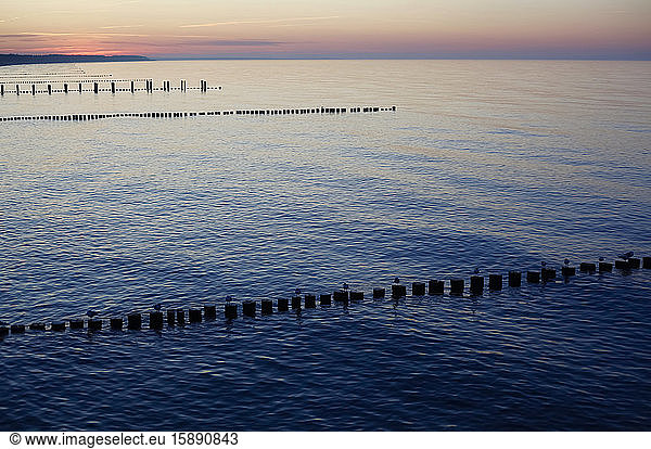 Germany  Mecklenburg-Western Pomerania  Zingst  Silhouettes of groynes on Baltic Sea coast at dusk